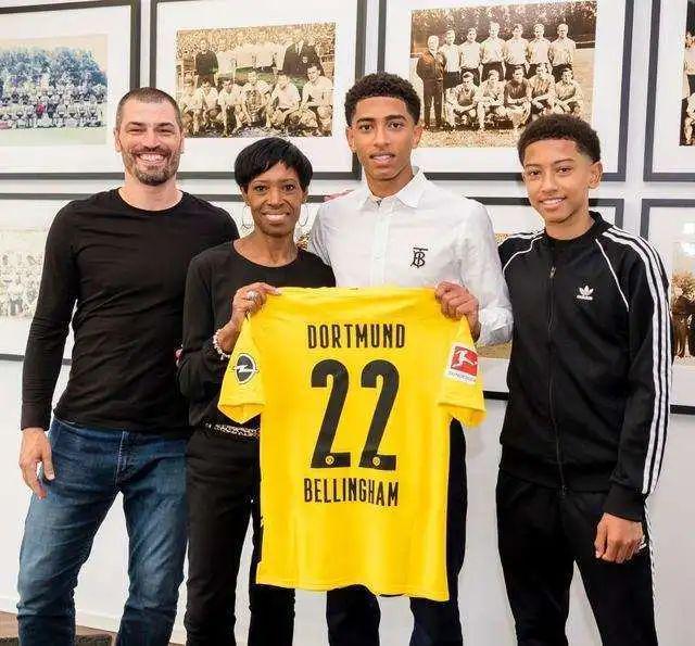 应充分了解 应充分了解